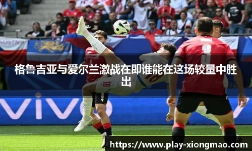 格鲁吉亚与爱尔兰激战在即谁能在这场较量中胜出